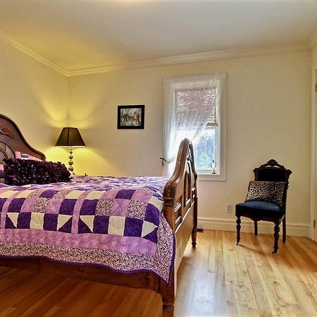 Winchester Terrace Green B&B מראה חיצוני תמונה