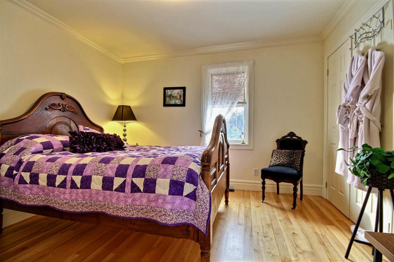 Winchester Terrace Green B&B מראה חיצוני תמונה