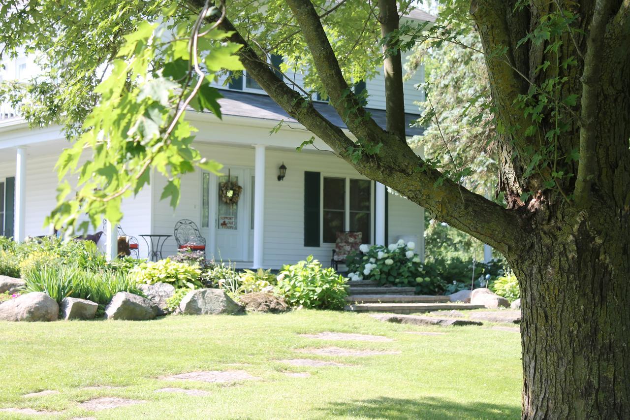 Winchester Terrace Green B&B מראה חיצוני תמונה