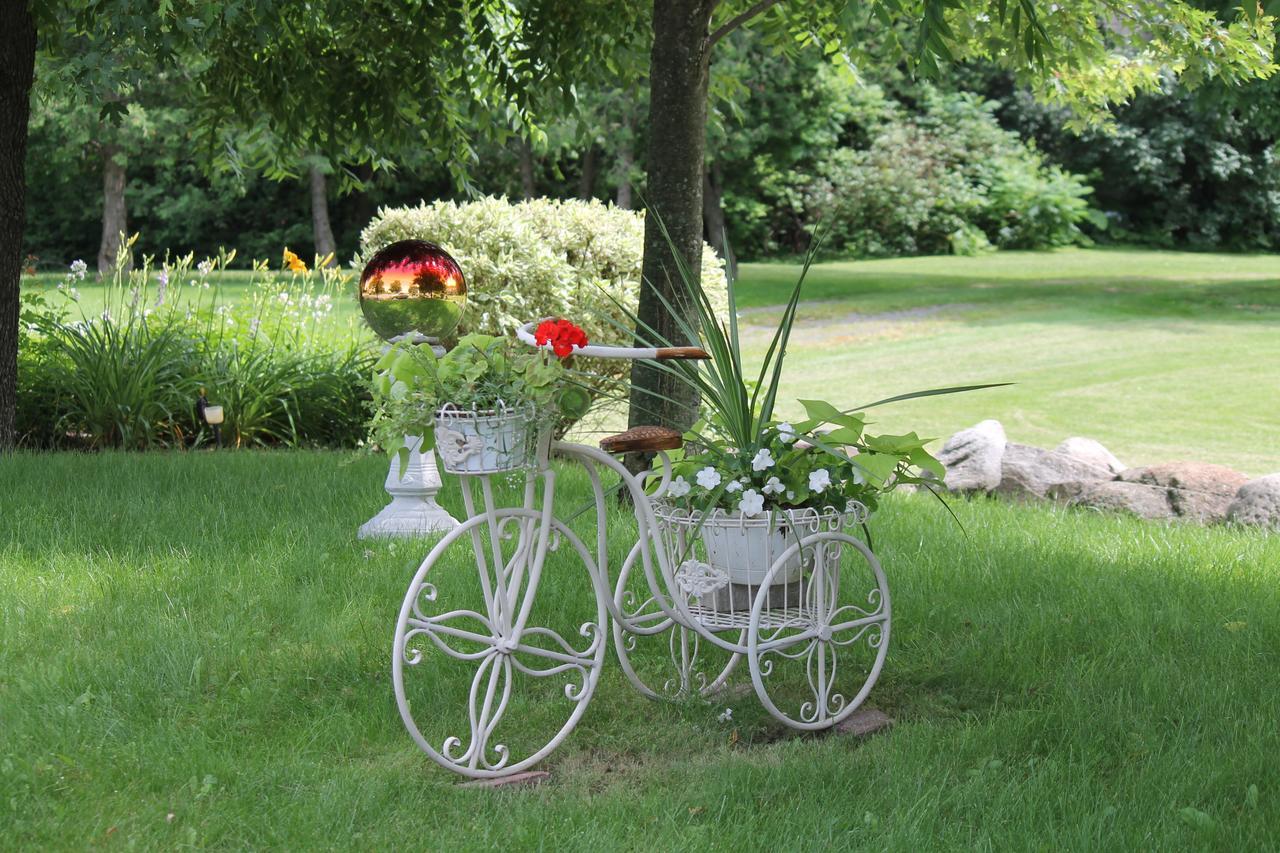 Winchester Terrace Green B&B מראה חיצוני תמונה