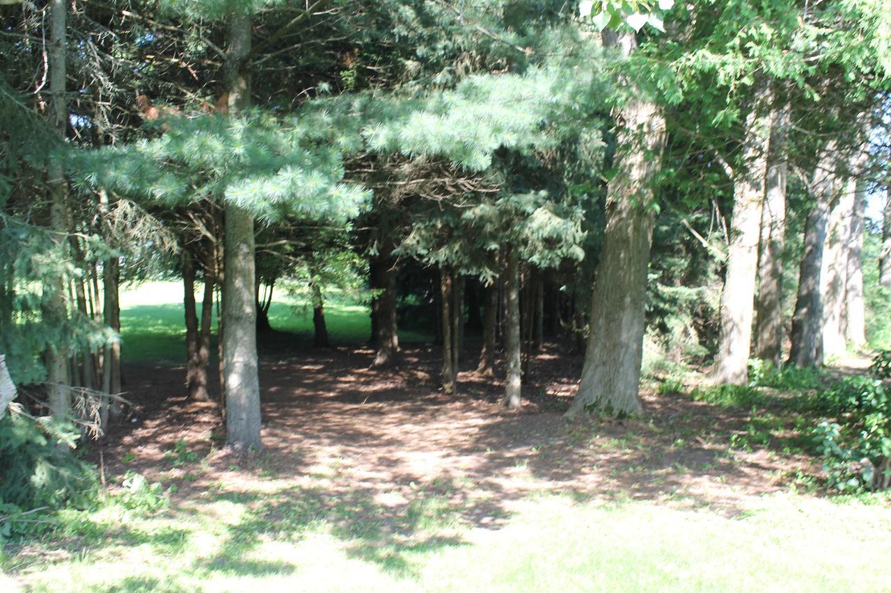 Winchester Terrace Green B&B מראה חיצוני תמונה