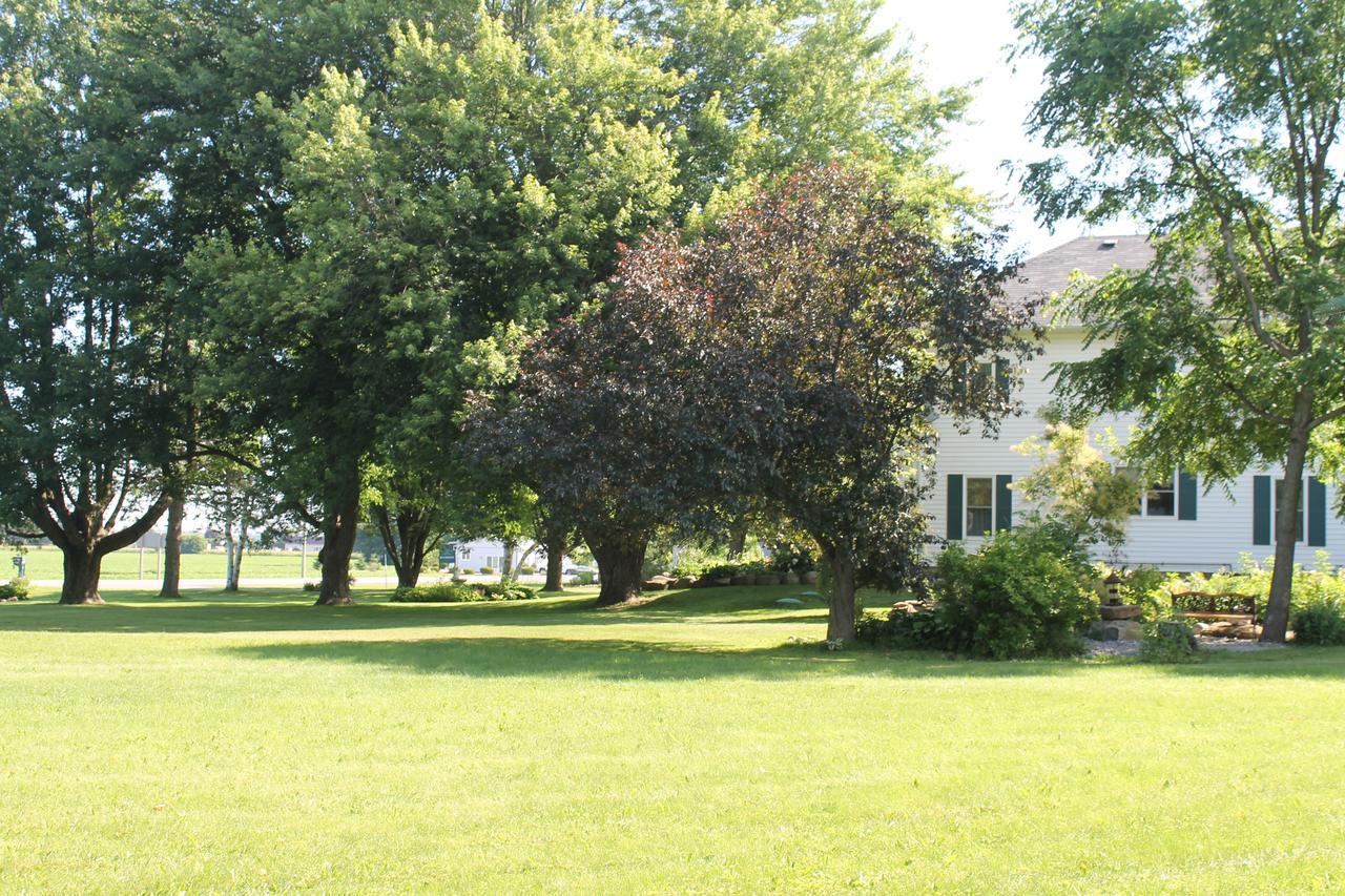 Winchester Terrace Green B&B מראה חיצוני תמונה