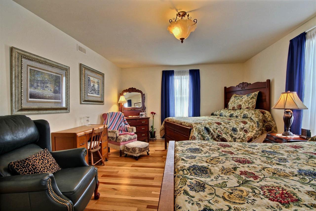 Winchester Terrace Green B&B מראה חיצוני תמונה