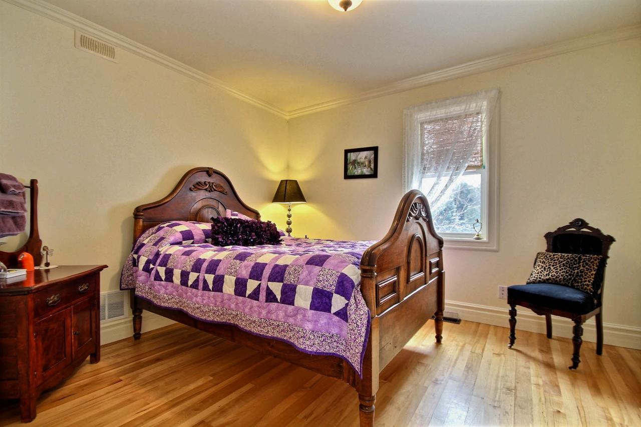 Winchester Terrace Green B&B מראה חיצוני תמונה