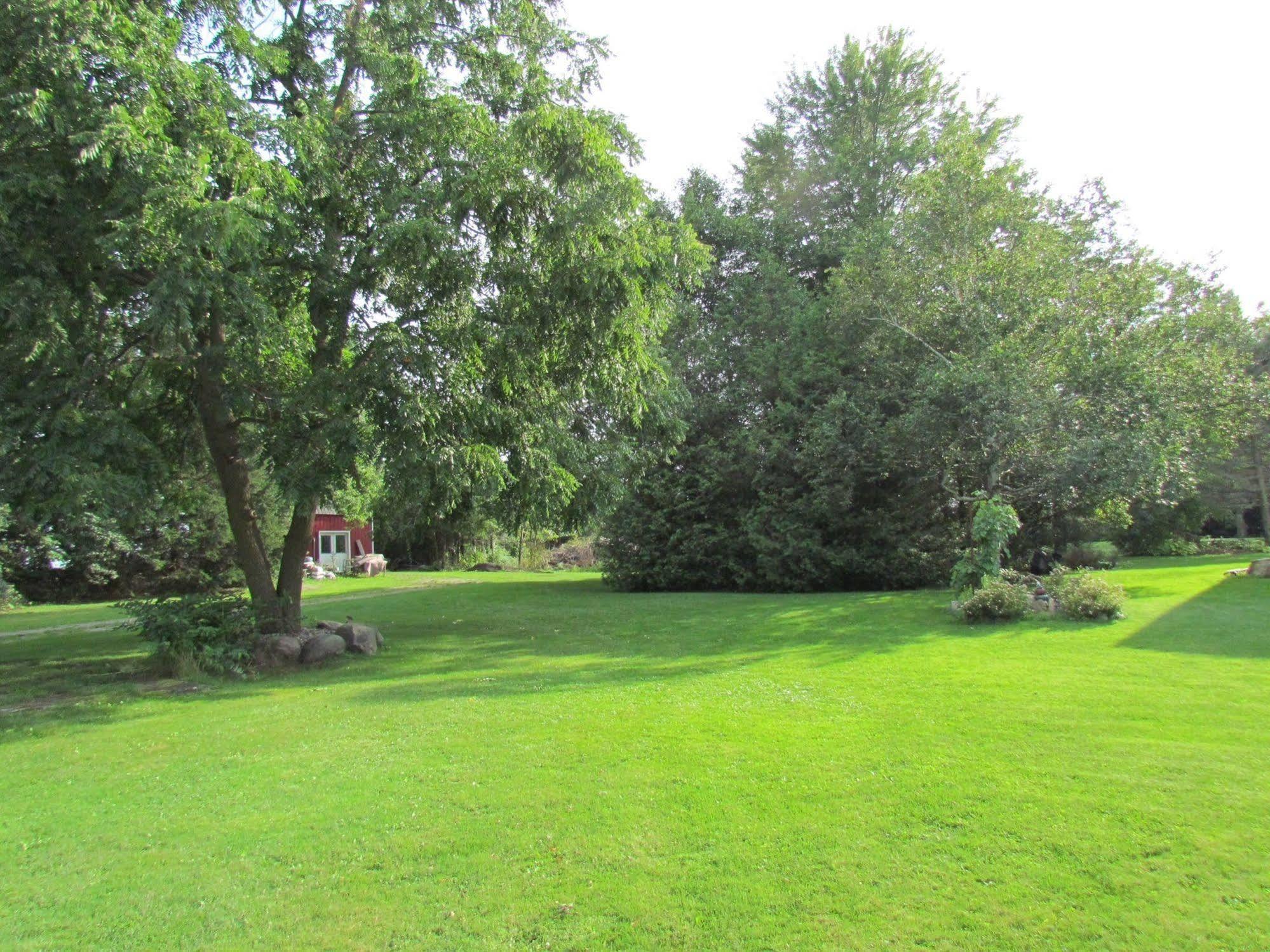 Winchester Terrace Green B&B מראה חיצוני תמונה